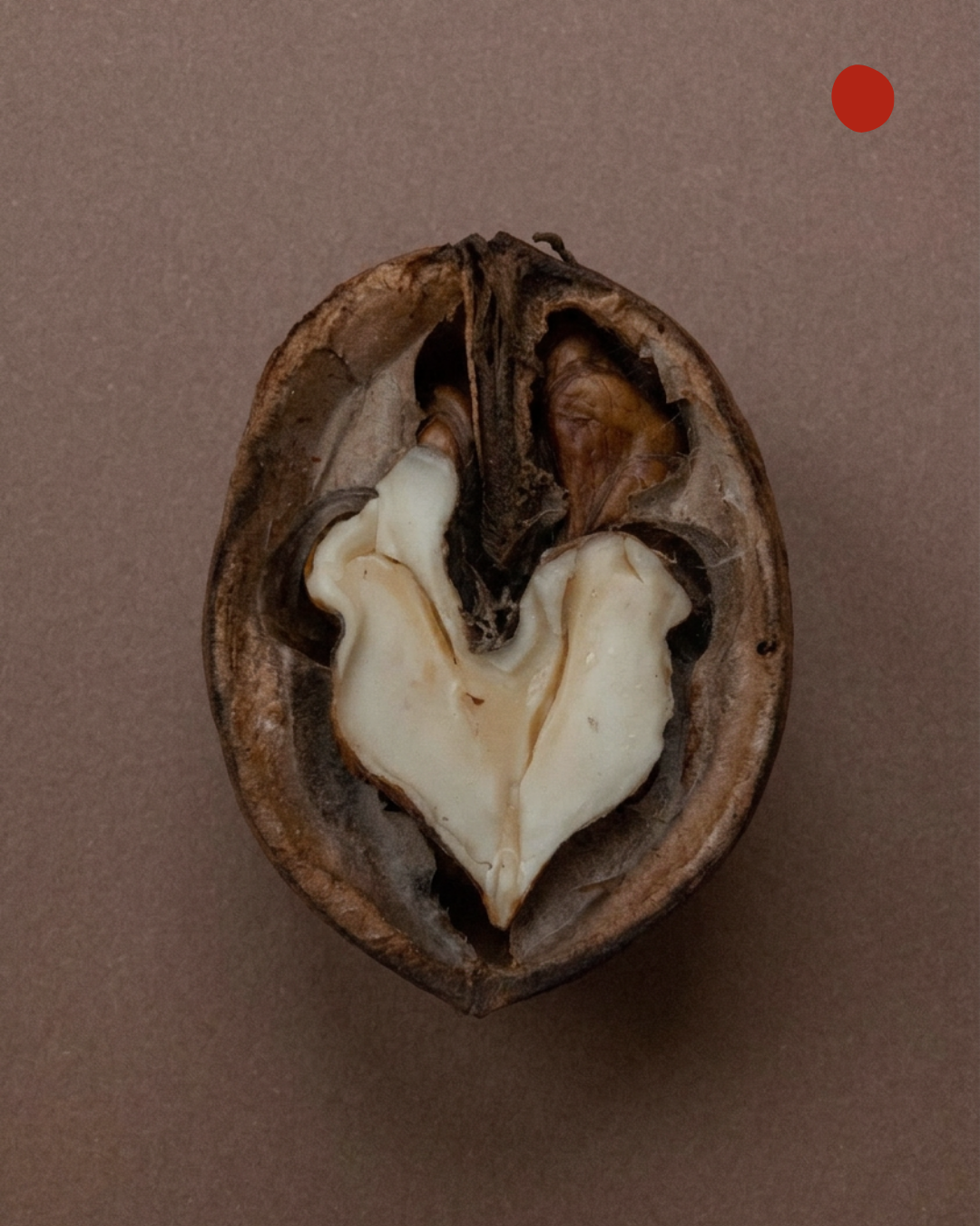 Whole Walnut