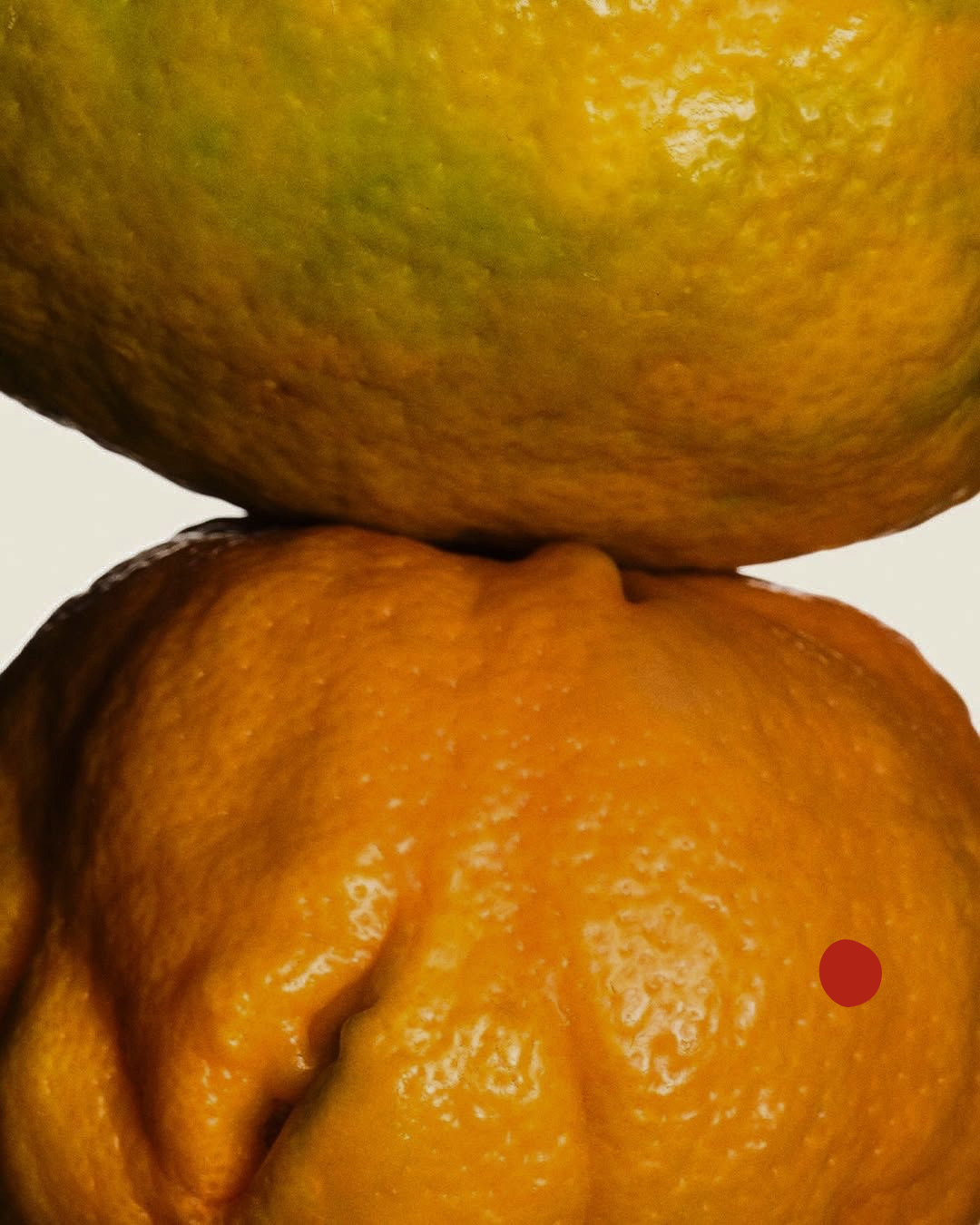 Bitter Orange Peel